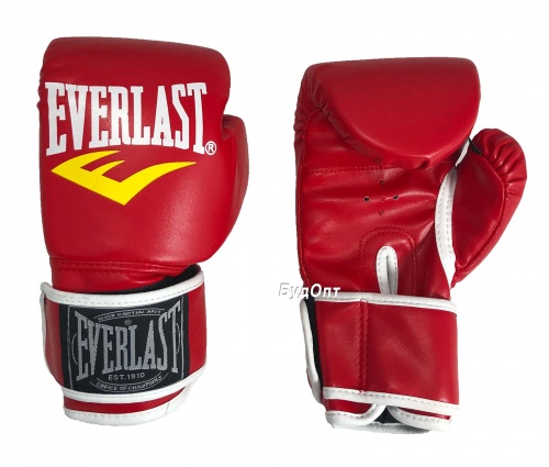 Боксерские перчатки детские Everlast 6 OZ (MS 1076) фото 4