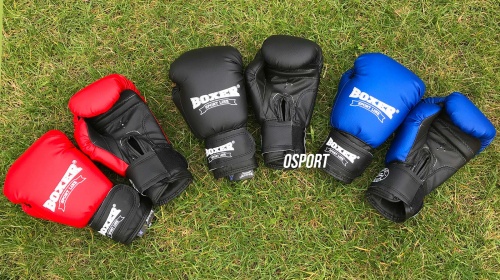 Детские боксерские перчатки для бокса из кожвинила Boxer 6 унций (bx-0021) фото 17