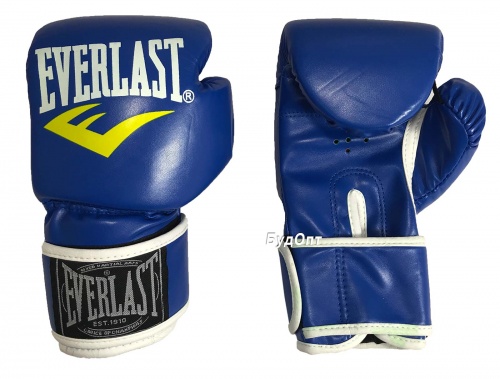 Боксерские перчатки детские Everlast 6 OZ (MS 1076) фото 6