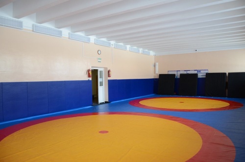 Борцовский ковёр для борьбы, дзюдо 10х10м, толщина 40мм OSPORT фото 2